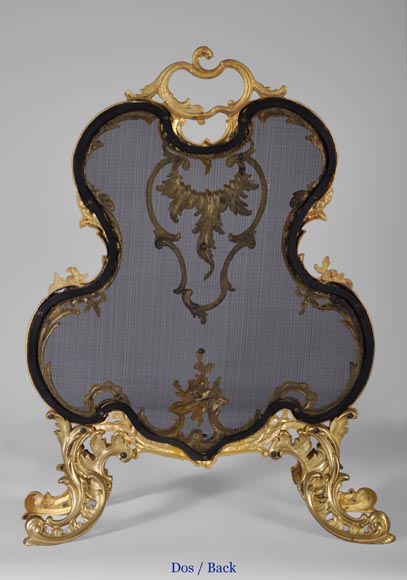 Antique Louis XV style gilt-bronze fire screen, 19th century, foliages and flowers decor-6