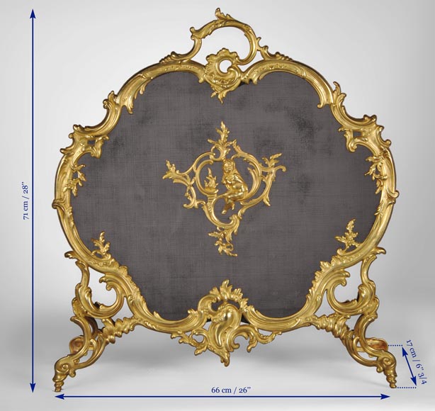 Antique Louis XV style gilt bronze fire screen with a Winter Allegory-10