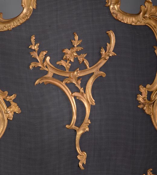 Beautiful antique Louis XV style firescreen in gilt bronze-2