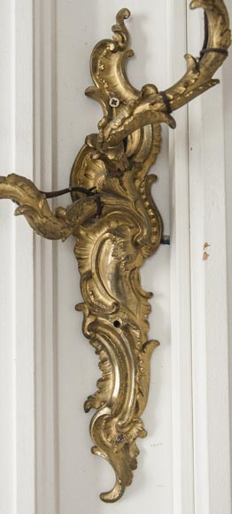 Pair of Louis XV gilded bronze wall lights - Appliques, sconces