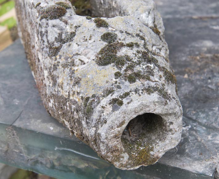 Wild boar's head, old stone gargoyle-2