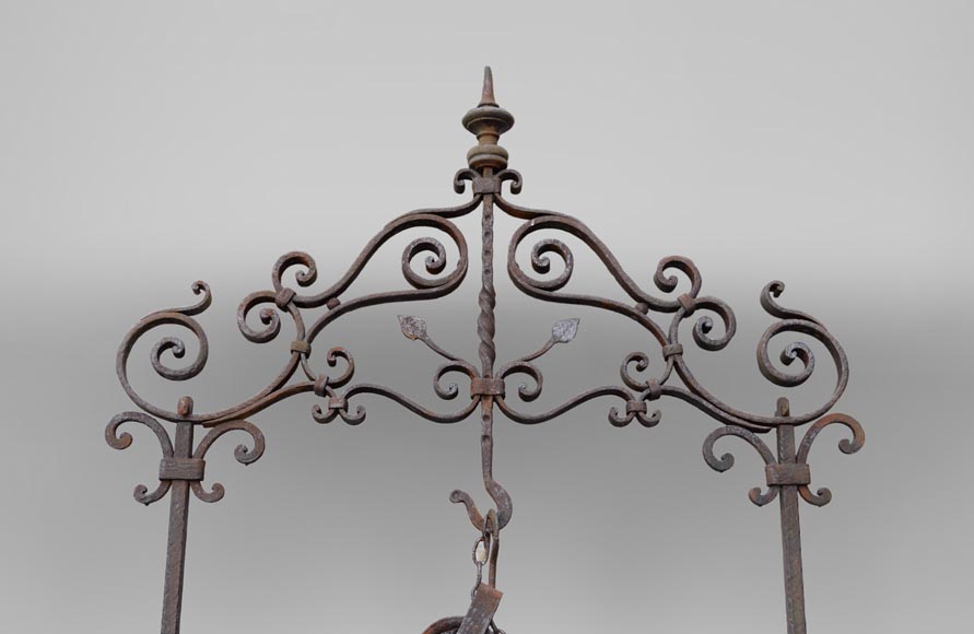 Rare antique 19th century well in cast iron and wrought iron-1