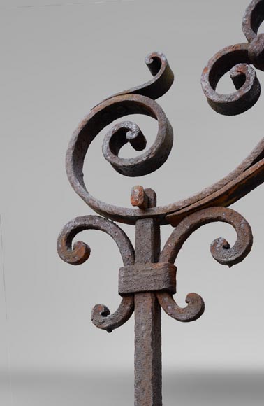 Rare antique 19th century well in cast iron and wrought iron-2