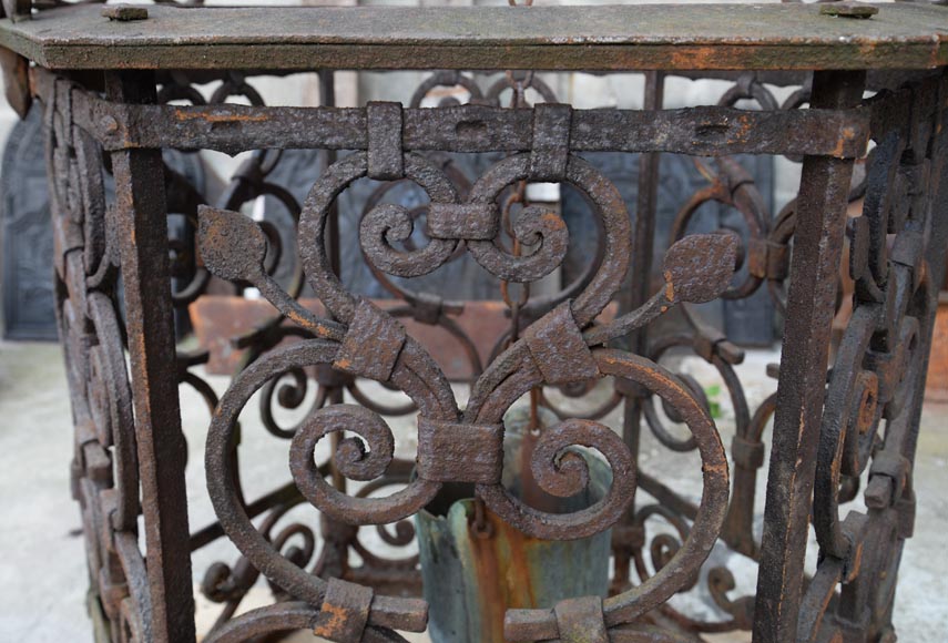 Rare antique 19th century well in cast iron and wrought iron-8