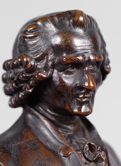 Pair of Voltaire and Rousseau busts in patinated bronze and marble-3