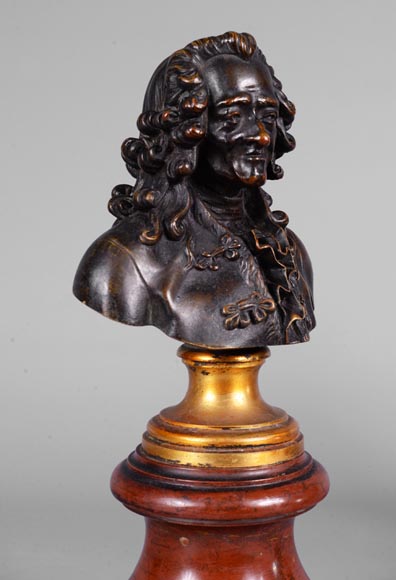 Pair of Voltaire and Rousseau busts in patinated bronze and marble-6