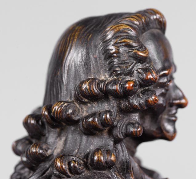 Pair of Voltaire and Rousseau busts in patinated bronze and marble-10