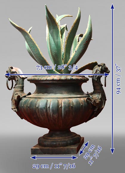 Pair of cast iron vases with cactus-9