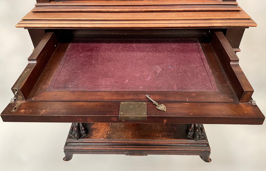 Gabriel VIARDOT, Japanese display case with chimera feet and mother-of-pearl decoration-14