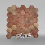 Lot of 16 m² of antique hexagonal terracotta tiles, end of the 18th century