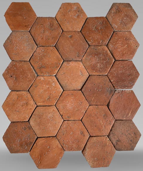 Lot of 8.5 m² of antique hexagonal terracotta tiles from the Tuileries de Perrusson, Charente, end of the 19th century-0