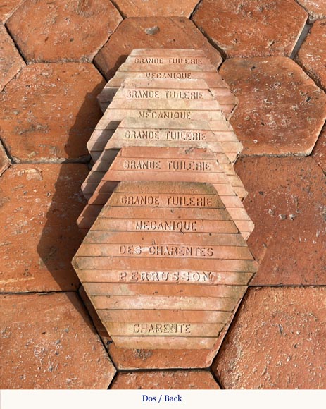 Lot of 8.5 m² of antique hexagonal terracotta tiles from the Tuileries de Perrusson, Charente, end of the 19th century-3