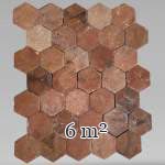 Lot of 6 m² of antique hexagonal terracotta tiles, 19th century