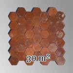 Lot of 30 m² of antique hexagonal terracotta tiles from Larochepot in France, end of the 19th century