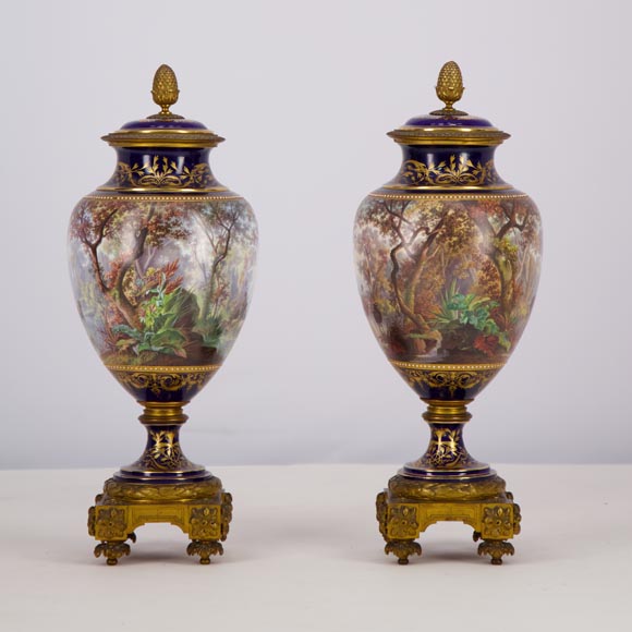 Pair of Sèvres porcelain vases mounted in gilt bronze and painted by J. Machereau, circa 1870-2