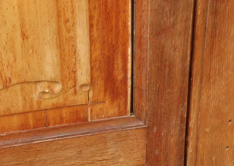 Set of 19th century wooden doors-3