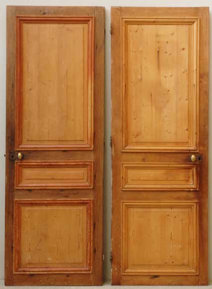 Set of 19th century wooden doors-9