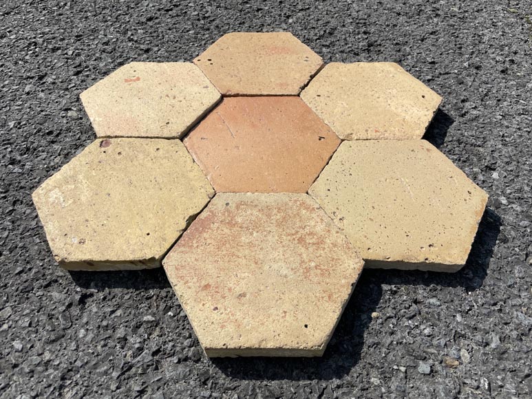 Lot of 4.7 m² of antique hexagonal terracotta tiles, 19th century-1