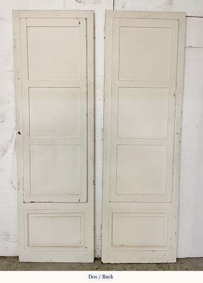 Pair of simple doors with a mirror on one side-5