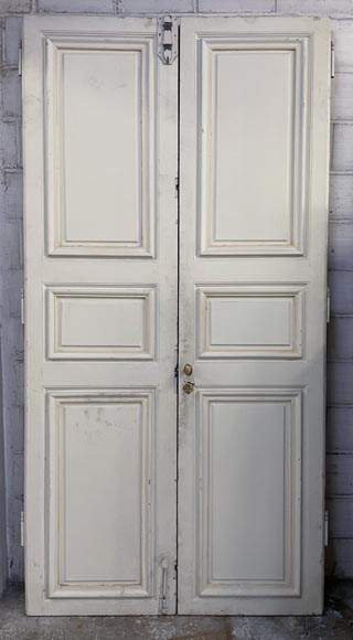 Double moulded door-4