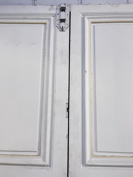 Double moulded door-5