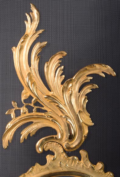 Louis XV style gilded bronze firescreen with plant decoration-1