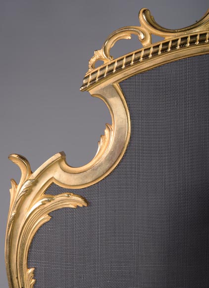Louis XV style gilded bronze firescreen with plant decoration-2