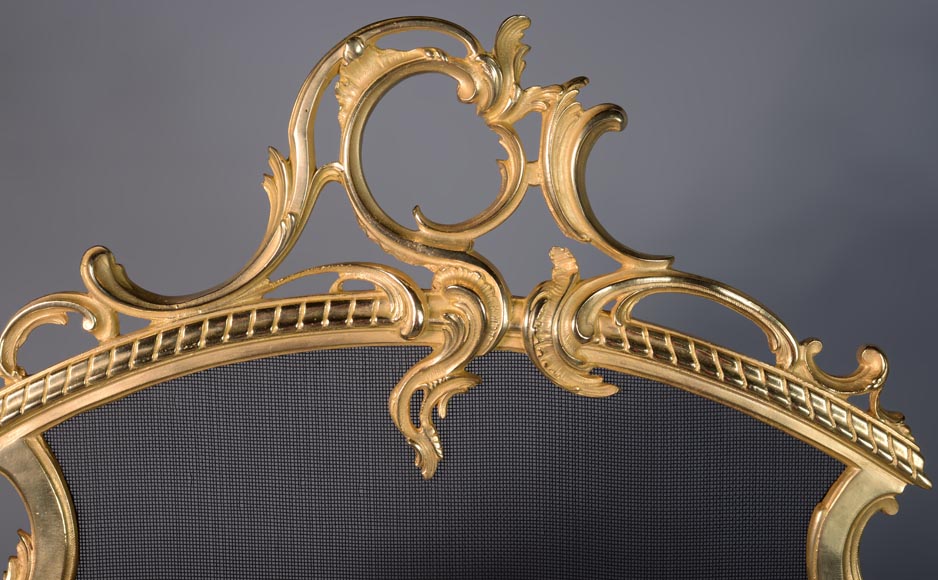 Louis XV style gilded bronze firescreen with plant decoration-3