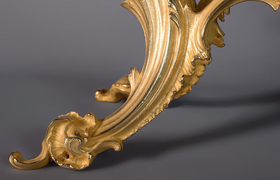 Louis XV style gilded bronze firescreen with plant decoration-5