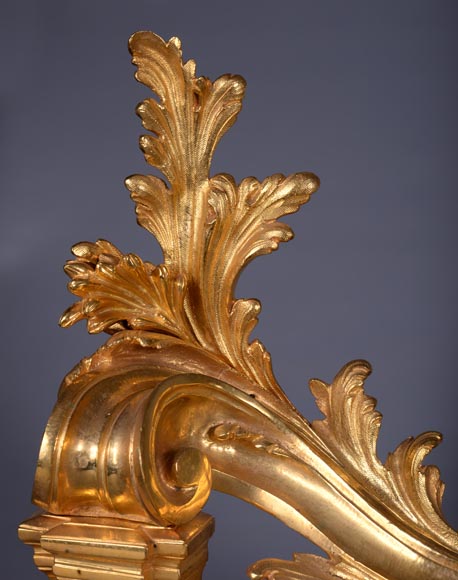 Fire fender with acanthus leaves-4