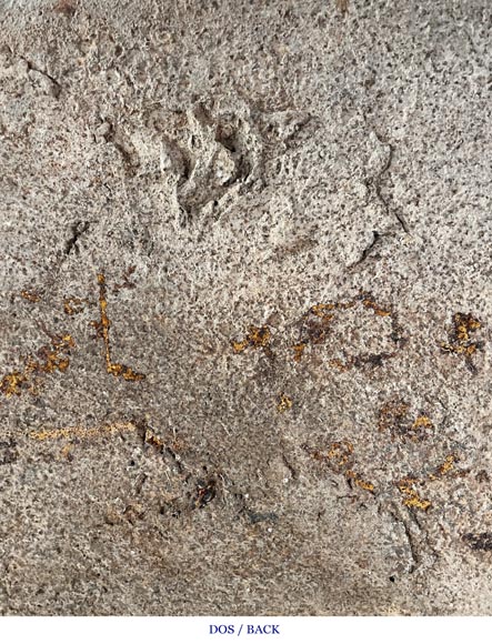 Phoenix-shaped fireplace plaque, decorated with scrolls Phoenix-shaped fireplace plaque, decorated with scrolls-9