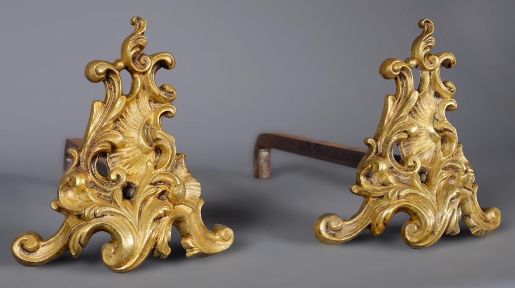 Small pair of Rococo firedogs in bronze polished varnished-3