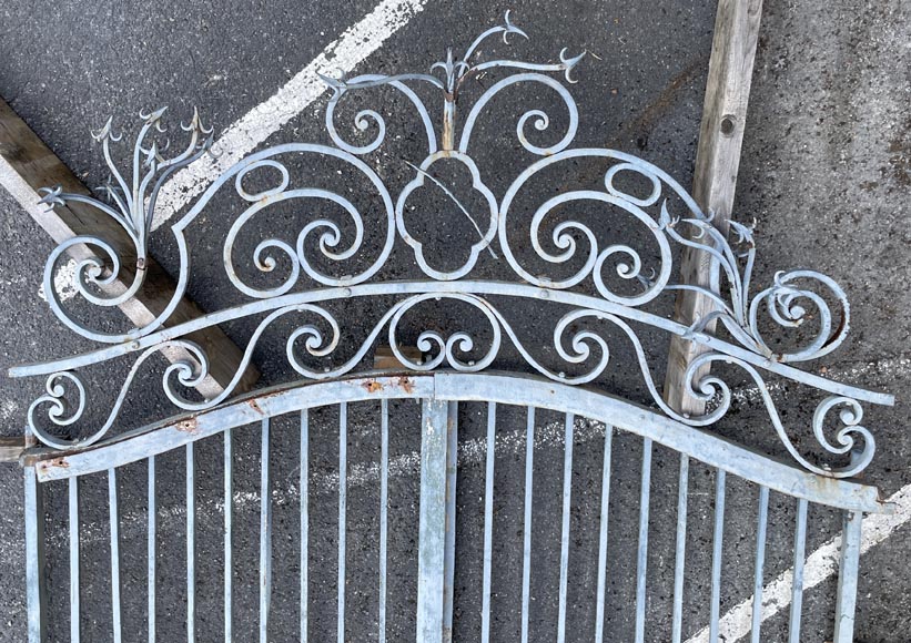 Wrought iron double panel gate with spikes - Doors