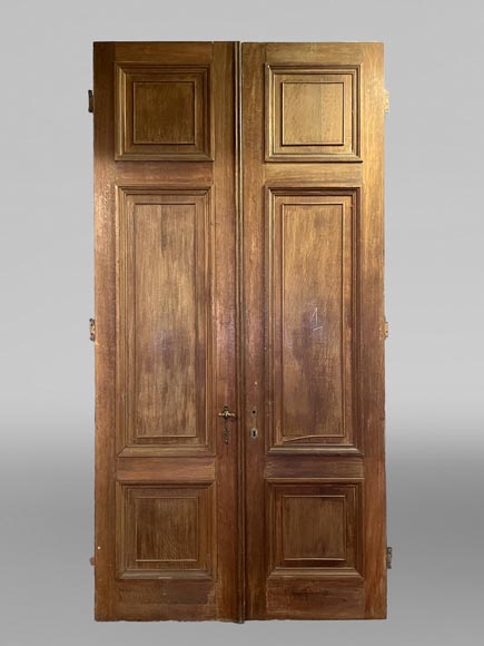 Pair of large Napoleon III painted double doors-1