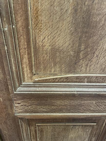 Pair of large Napoleon III painted double doors-8