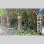 Set of arcades (rose garden)