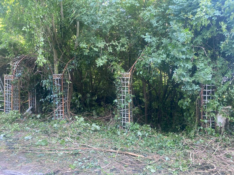 Set of arcades (rose garden)-1