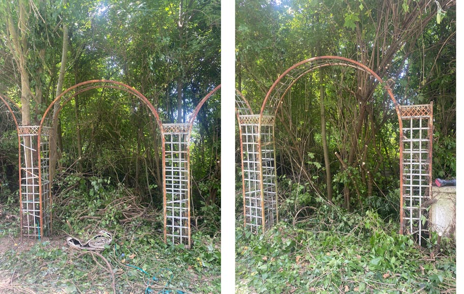 Set of arcades (rose garden)-2