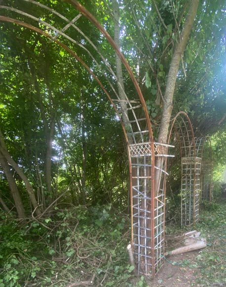 Set of arcades (rose garden)-9