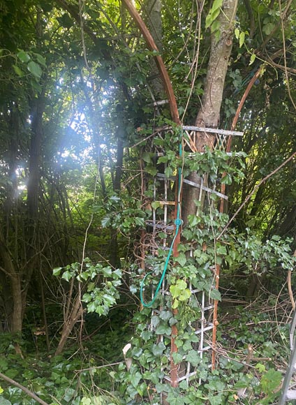 Set of arcades (rose garden)-11