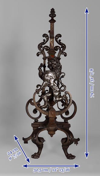 Pair of silver and brown bronze andirons with standing lions-12