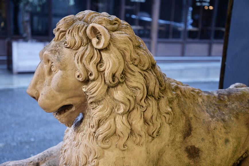 Pair of terracotta lion statues, 18th century-6