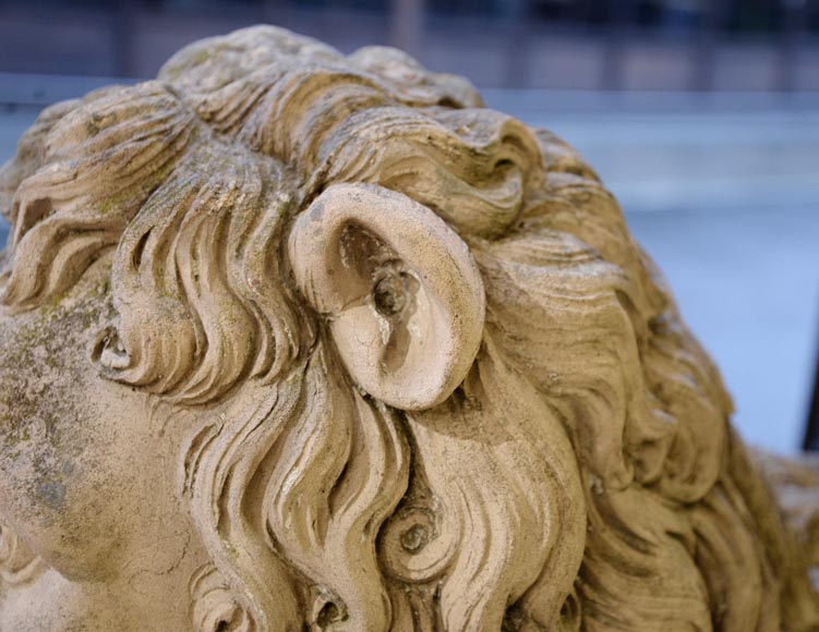 Pair of terracotta lion statues, 18th century-7