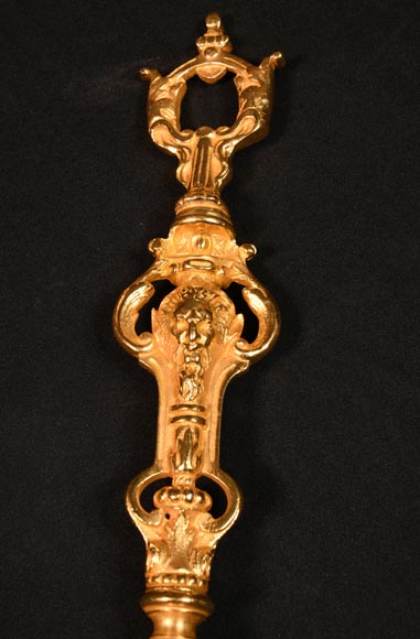 Napoleon III style gilded bronze mantelpiece tool set-5