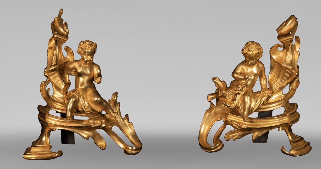 Pair of Louis XV style andirons with putti decoration-0