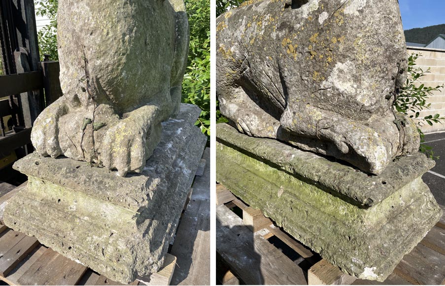 Pair of medieval stone lions-7