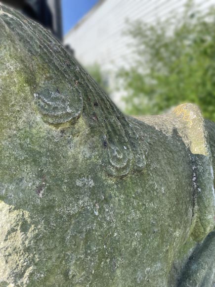Pair of medieval stone lions-14