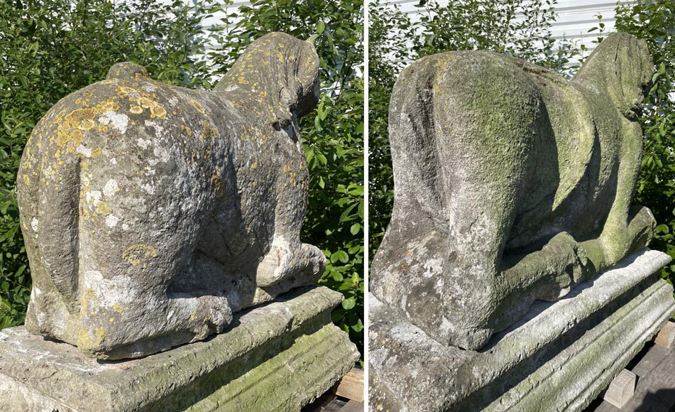 Pair of medieval stone lions-18