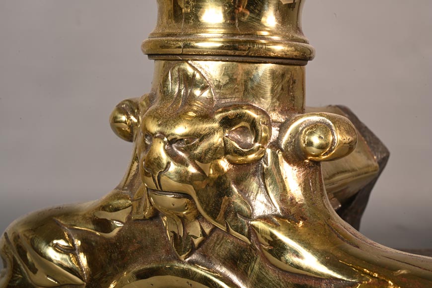 Pair of gilt bronze andirons-4
