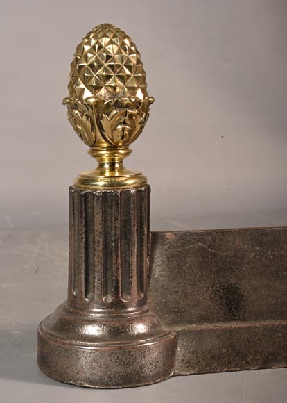 Pair of pinecone andirons in cast iron and polished bronze-2